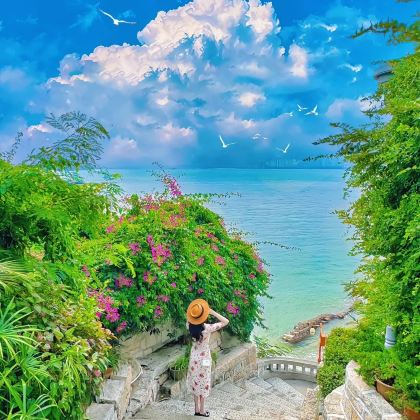 厦门+鼓浪屿2日1晚跟团游