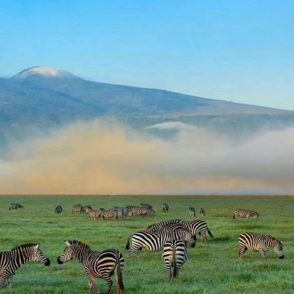 肯尼亚10日7晚跟团游