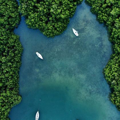 美国迈阿密6日5晚私家团