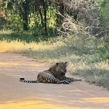 斯里兰卡9日8晚私家团