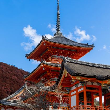 大阪+京都+奈良5日4晚私家团