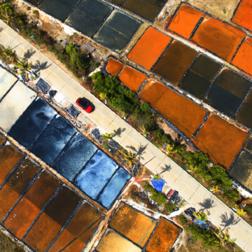 湛江+中国大陆南极村4日3晚跟团游