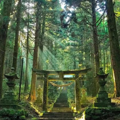 日本东京+富士山+大阪+京都+奈良+名古屋7日6晚跟团游