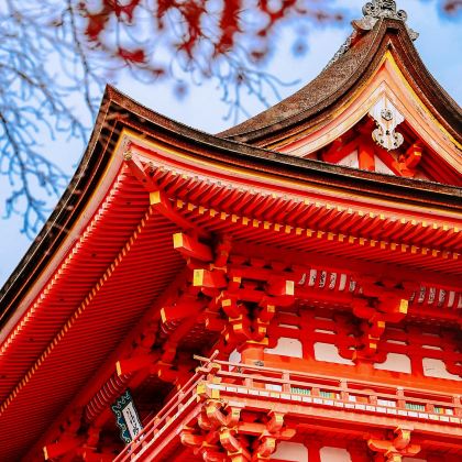 日本东京+富士河口湖町+日本乐高乐园+京都+大阪8日7晚拼小团