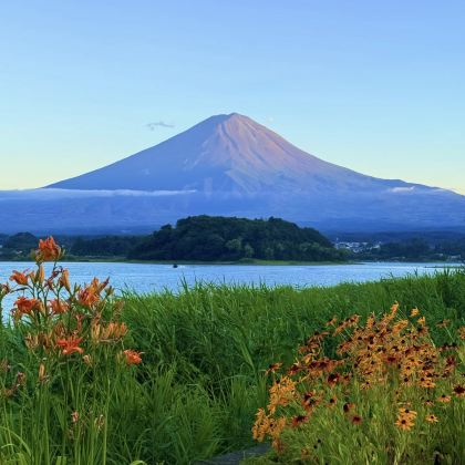 日本东京+富士山2日1晚拼小团