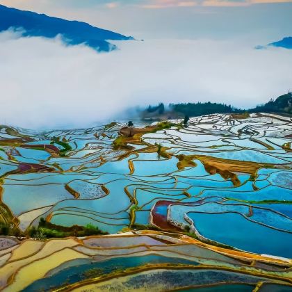 昆明+建水+元阳哈尼梯田+屏边+河口+弥勒+云南哀牢山国家级自然保护区7日6晚拼小团