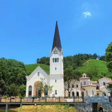 瑞士10日9晚私家团