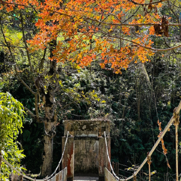 大理市+怒江+丙中洛+独龙江+腾冲8日7晚私家团