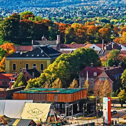 挪威+冰岛12日10晚私家团