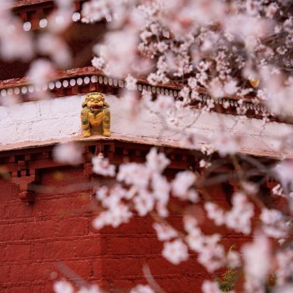 丽江+梅里雪山+丙中洛+波密+林芝+拉萨6日5晚拼小团