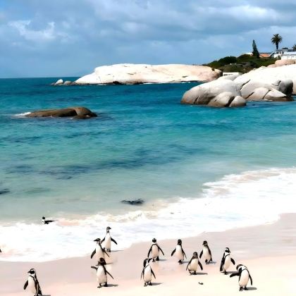 南非开普敦+好望角+克鲁格国家公园10日8晚私家团