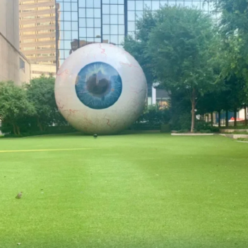 美国达拉斯+圣路易斯8日7晚私家团