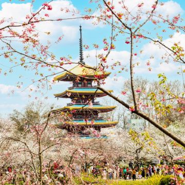 武汉+黄鹤楼+长江三峡+三峡大坝3日2晚跟团游