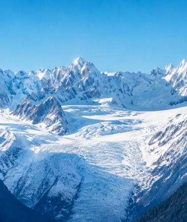 7D6N • New Zealand : Christchurch&Queenstown – Traverse Glaciers, Lakes & Coast: Kaikoura Whale Watching, Lake Tekapo, That Wanaka Tree, Milford Sound