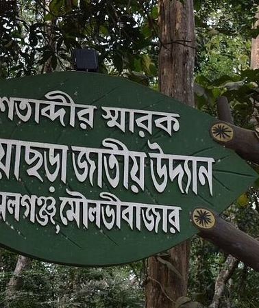 2D1N • Srimangal Overnight Private Tour from Dhaka