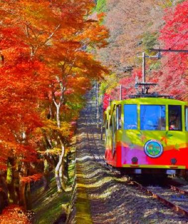 6日5晚 • 東京、秋の富士山 賞景購物6天之旅 「千葉三大名山」鋸山(包乘登山纜車)、山中湖花之都公園~清流之里/高尾山(賞紅葉)、富士合掌村/河口湖紅葉迴廊、富士山五合目、成田山新勝寺