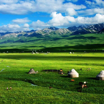 新疆伊犁那拉提旅游风景区+库尔德宁景区+独库公路+赛里木湖+乌鲁木齐8日7晚拼小团
