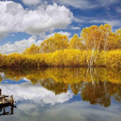 中国内蒙古赤峰乌兰布统草原+蛤蟆坝景区+热阿线+阿斯哈图石林景区+达达线+达里湖+锡林郭勒盟牛奶湖畔+石条山+贝子庙+河北张家口大境门景区+草原天路6日5晚跟团游