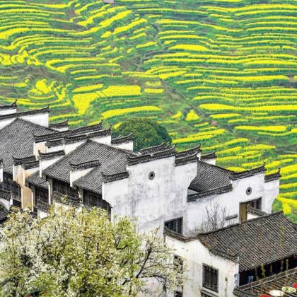 江西南昌+庐山+景德镇+婺源篁岭景区+望仙谷5日4晚跟团游