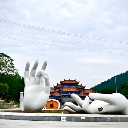 遂宁+广德寺风景区+龙凤古镇+沱牌舍得文化旅游区3日2晚私家团