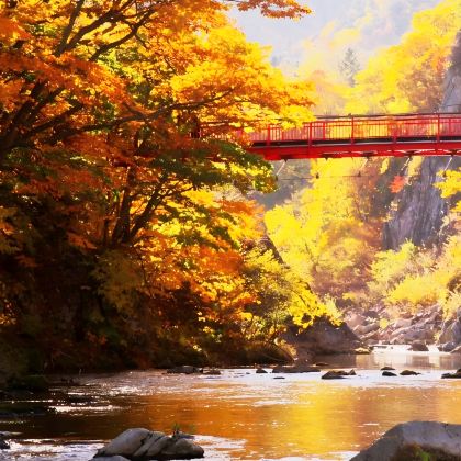 日本东京+富士山+大阪+京都+奈良10日9晚跟团游