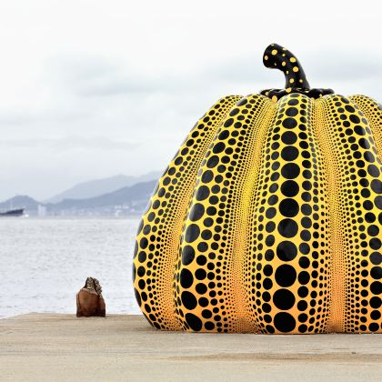 日本四国+高松+高知市+松山+道后温泉8日7晚私家团