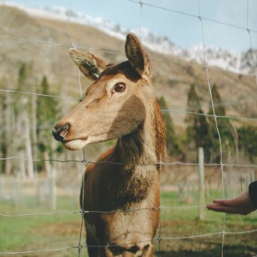 新西兰7日6晚私家团