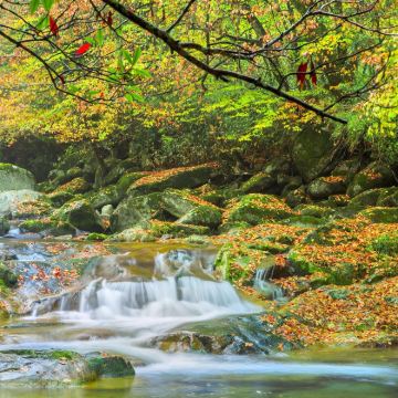光雾山旅游景区+米仓山国家森林公园+十八月潭景区3日2晚私家团