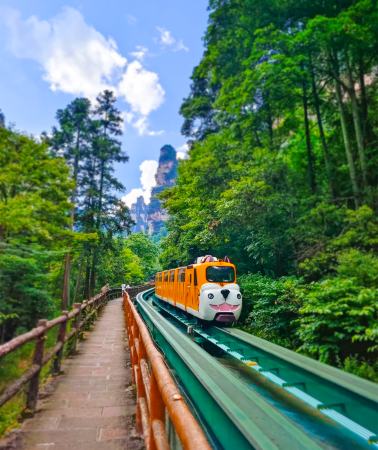 6天5晚 • 秋染三千峰，雲醉張家界丨宿雙古城賞夜景：1N 芙蓉鎮·賞芙蓉花開演出＋1N 鳳凰古城丨嚮導陪同入園講解＆ 4-5 人升級商務 7 座