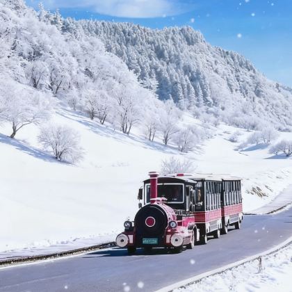 重庆+武隆区5日4晚拼小团