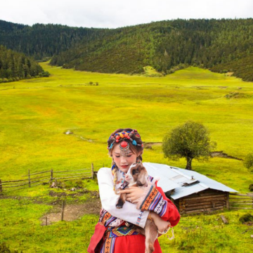 云南昆明+大理市+丽江+香格里拉+玉龙雪山8日7晚跟团游