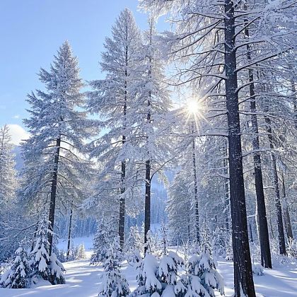 呼伦贝尔+额尔古纳+室韦+满洲里+阿尔山8日7晚拼小团