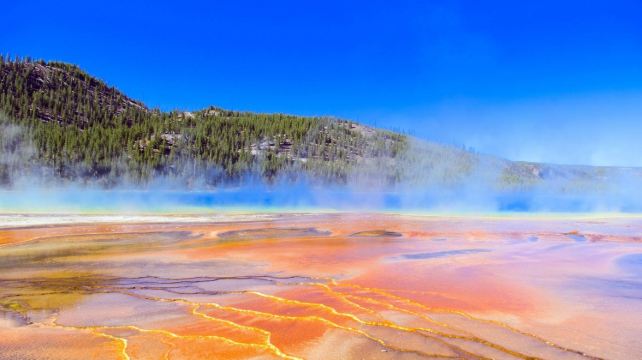 <9天>【13人小团 | 2晚拉斯五星枫丹白露+3天2晚黄石15景】·洛杉矶接机+4大国家公园2大网红摄影地：大峡谷+羚羊彩穴+布莱斯峡谷+马蹄湾+鲍威尔湖+大提顿国家公园