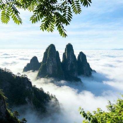 郴州+东江湖旅游区+莽山旅游区国家森林公园4日3晚私家团