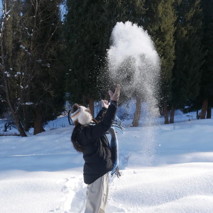 内蒙古乌兰布统景区-塞北雪乡+塞罕坝国家森林公园+木兰围场+隆化七家温泉4日3晚拼小团