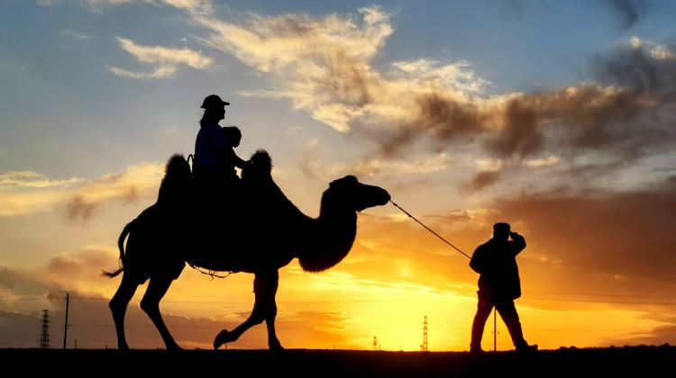 5-Day Private Tours: Dunhuang, Mingsha Mountain Crescent Spring, Yulin Grottoes, Yang Pass, Yumen Pass, and Dunhuang Yardang National Geopark | Complimentary Children's Tickets to the Mogao Grottoes and A-class Ticket·  