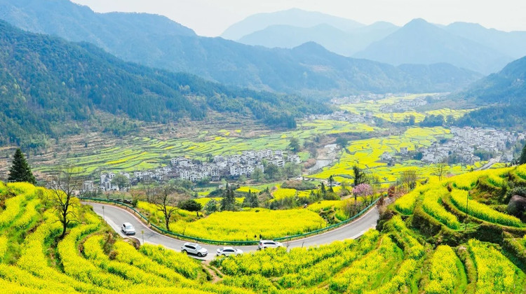 江西婺源+黄山+宏村4日3晚私家团
