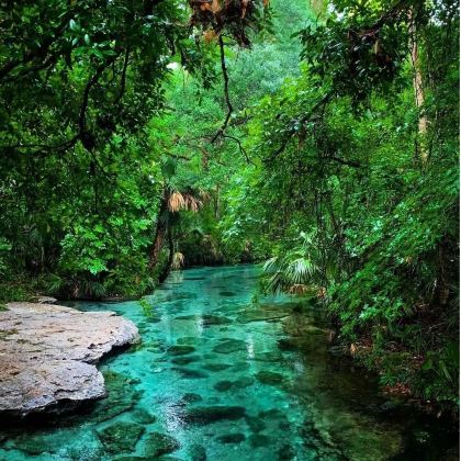 奥兰多7日6晚拼小团