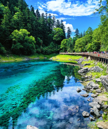 2D1N•Full-Day In-Depth Jiuzhaigou & Huanglong Tour, High-Speed Train Round-Trip Saves 6-8H – Special Offer: Contact Us for Instant Discount Coupon