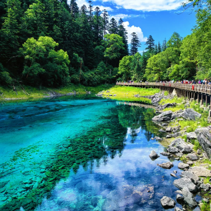 成都+九寨沟+黄龙风景名胜区5日4晚私家团