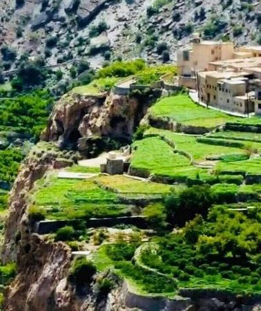 2D1N • Private Overnight Nizwa & Jebel Akhdar Tour from Muscat