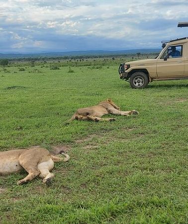 2D1N • 2 Days /1 Night safari to Mikumi