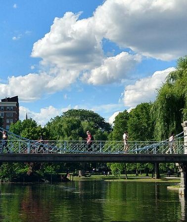 5D4N • Washington D.C. ,Niagara Falls 5-Day Tour from New York