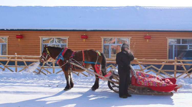 3-Day Mini group tour: Mohe , Arctic Village, aurora viewing, reindeer interaction, fun , no shopping , nice boutique stays.
