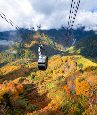 5D4N • Nagoya, Japan + Gifu City |