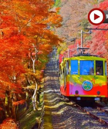6日5晚 • 東京、秋の富士山 賞景購物6天之旅 「千葉三大名山」鋸山(包乘登山纜車)、山中湖花之都公園~清流之里/高尾山(賞紅葉)、富士合掌村/河口湖紅葉迴廊、富士山五合目、成田山新勝寺