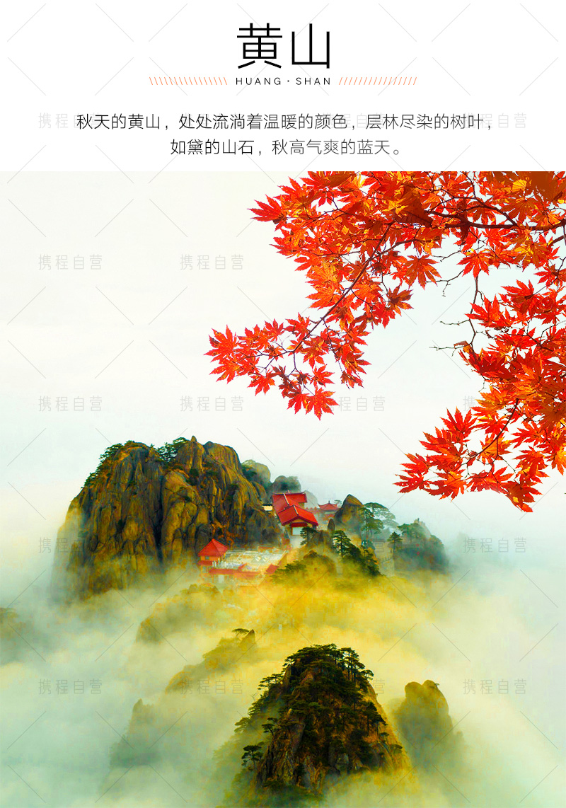 黄山风景区+婺源3日2晚·【封顶16人团+拒绝拥挤】
