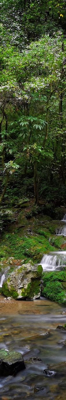 黑山谷风景区-重庆