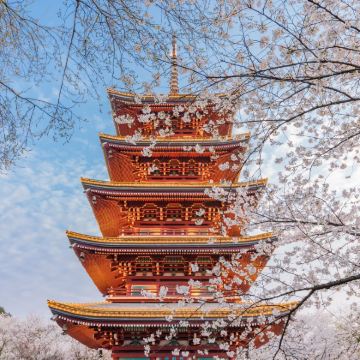 武汉+黄鹤楼+长江三峡+恩施大峡谷6日5晚私家团