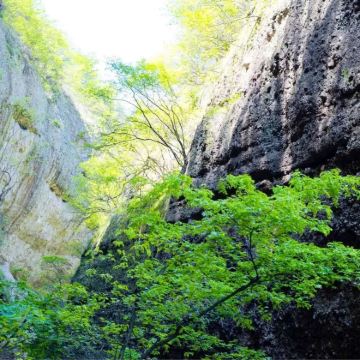 六安+皖西大裂谷+大别山石窟+安徽省皖西博物馆3日2晚私家团